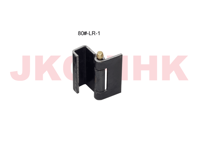 80#-LR-1.gif